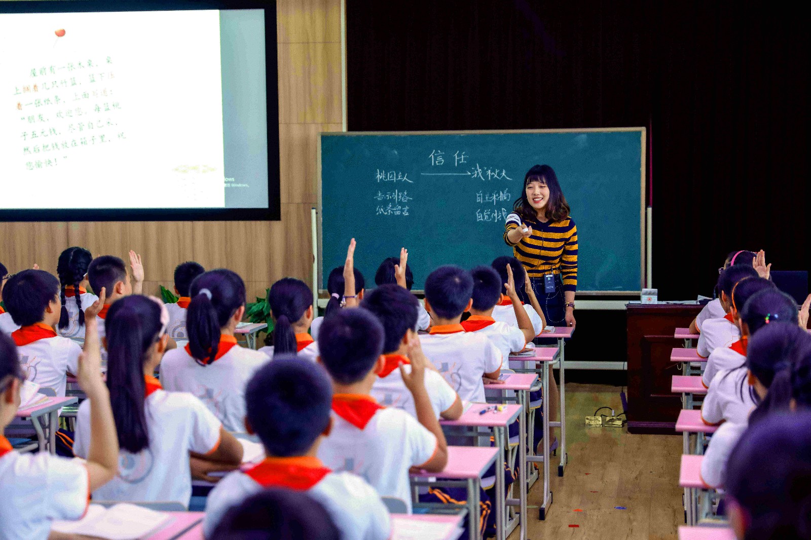 教师风采宝山区第七届教学能手朱菲菲小学语文