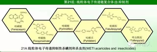 红蜘蛛虫小威胁大,高手总结解决之道!杀螨剂一览表