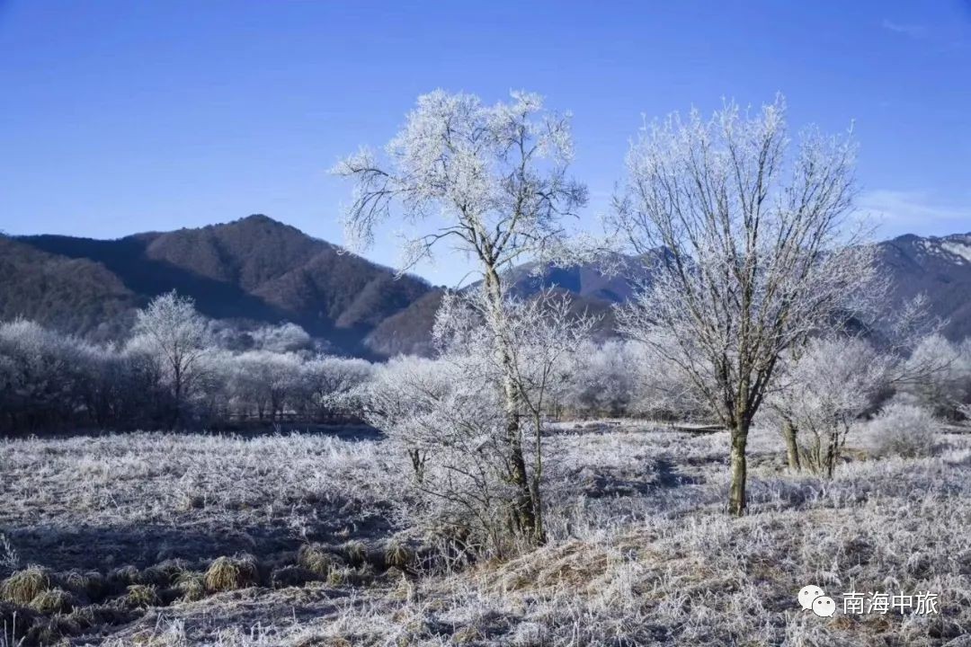 冬天湖北的这里美成仙境春节到湖北还能这样玩