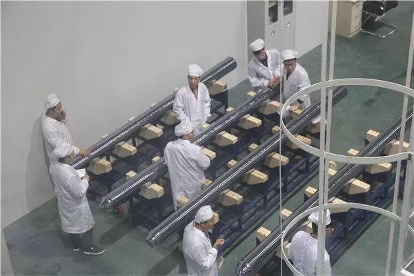 丽江隆基5gw高效单晶硅棒项目试