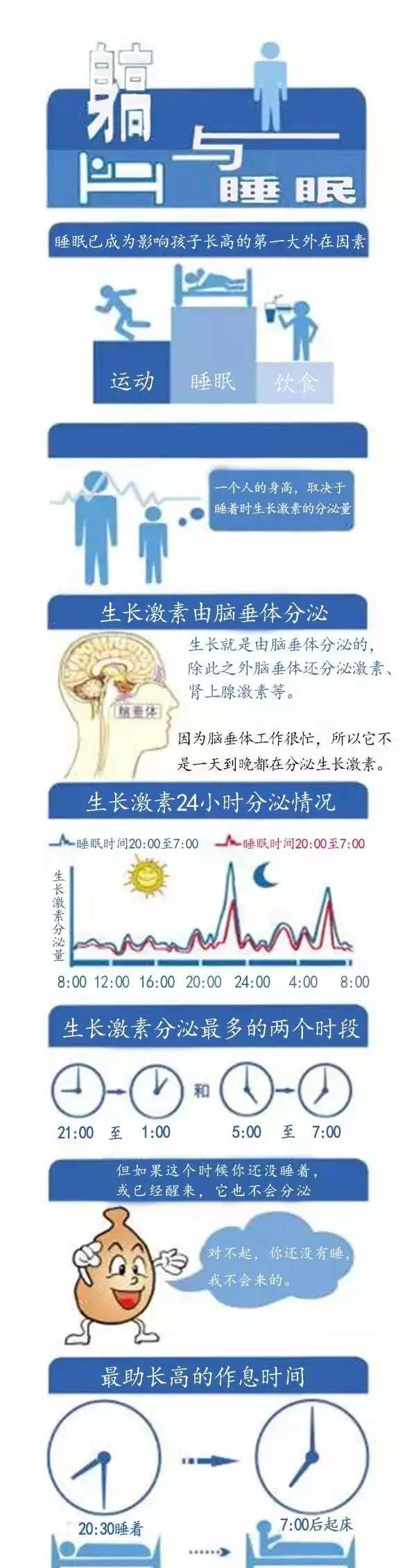 因为"太忙了",所以它并不是一天24小时都在分泌生长激素