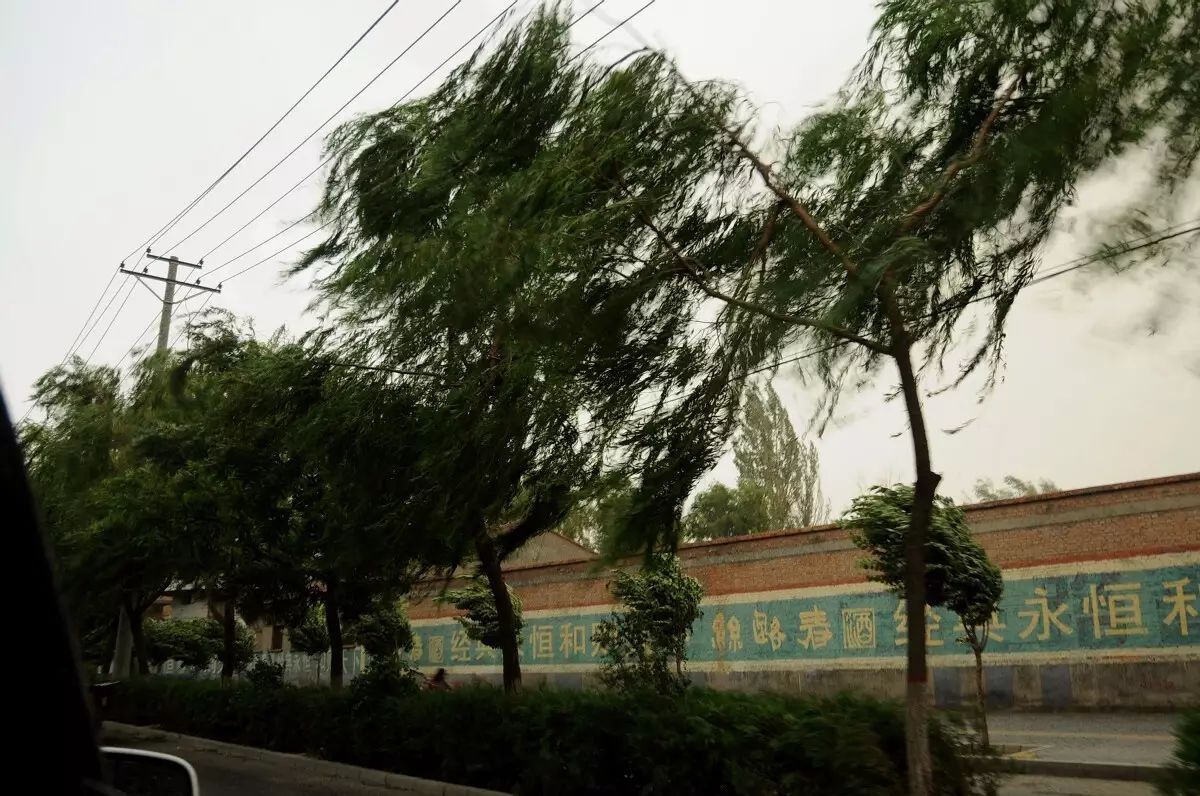 在夹杂着黄泥的雨点中,我们慢慢驶入市区,风依然很大,树被大风刮得变