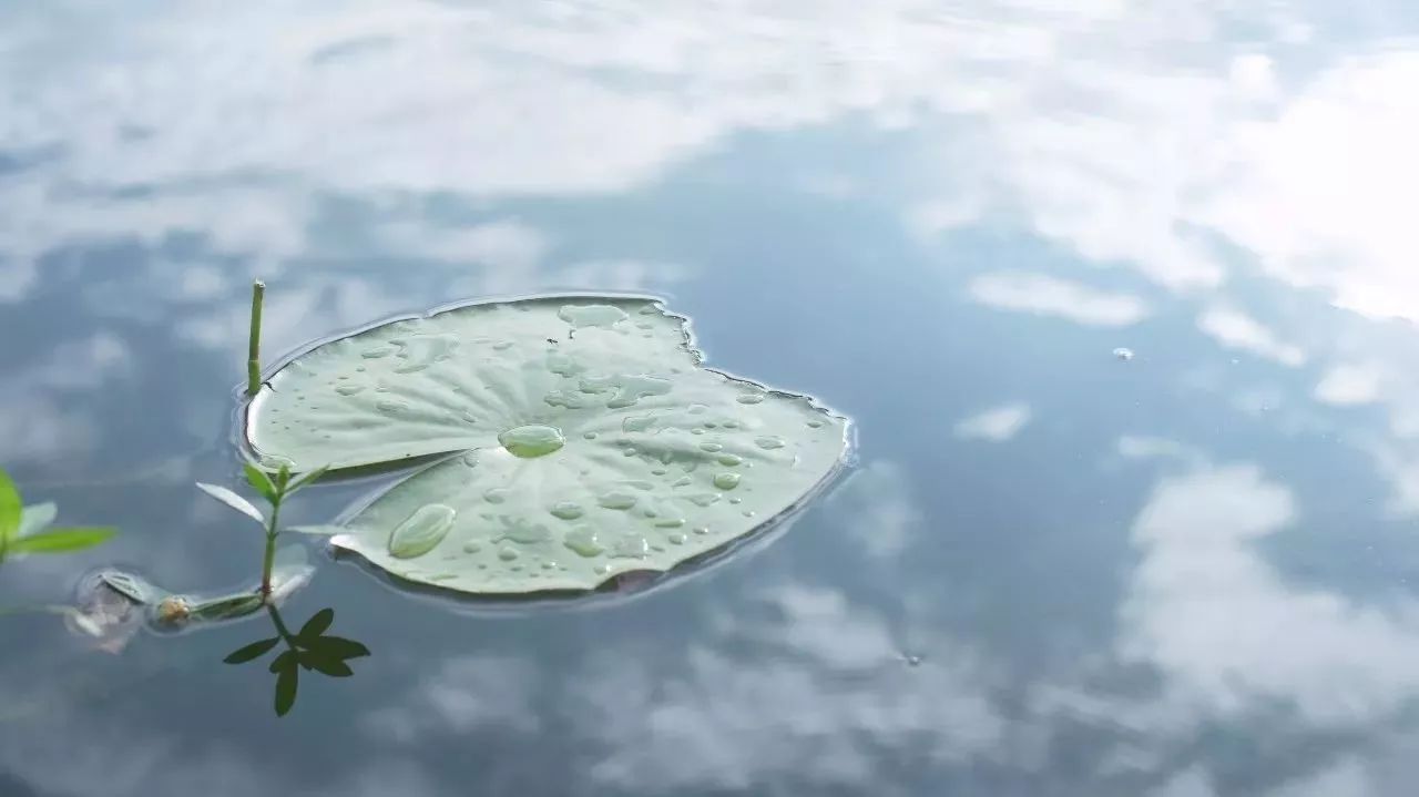 眼睛纯净,才能看见美丽的风景; 心灵干净,才能拥有纯粹的感情.