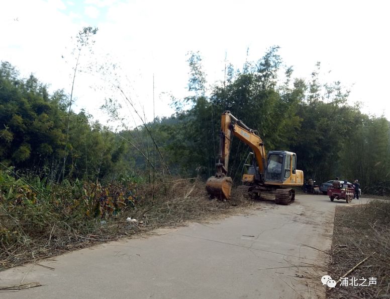 大成镇柑子根红色旅游景区道路拓宽--"清表"中