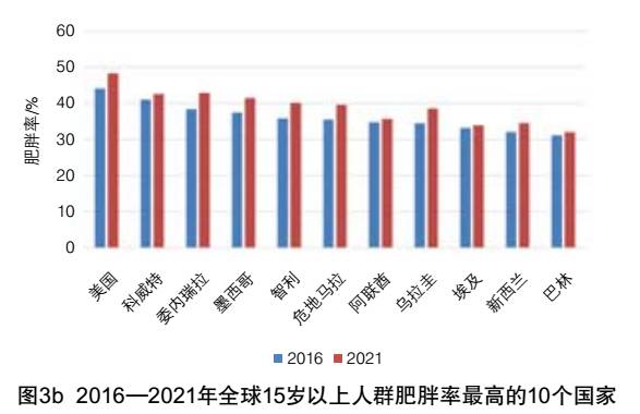 2021年 60岁以上 人口