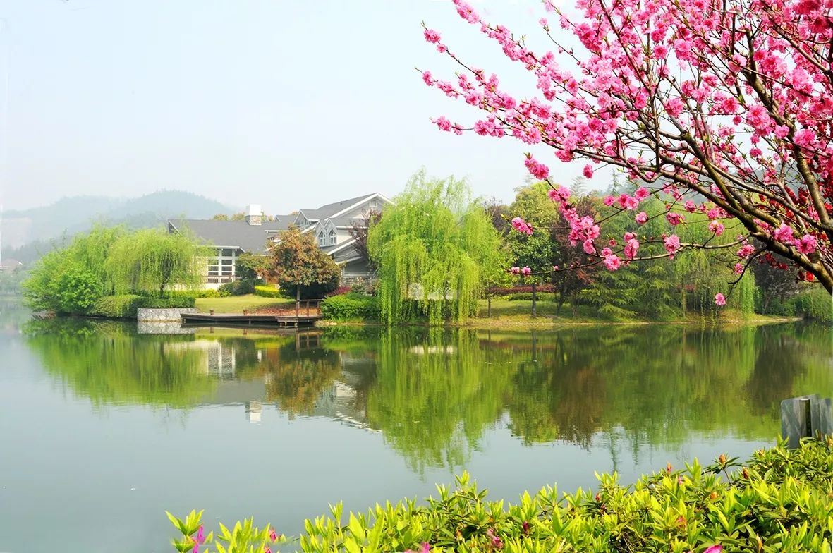 杭州桃花源桃花湖实景