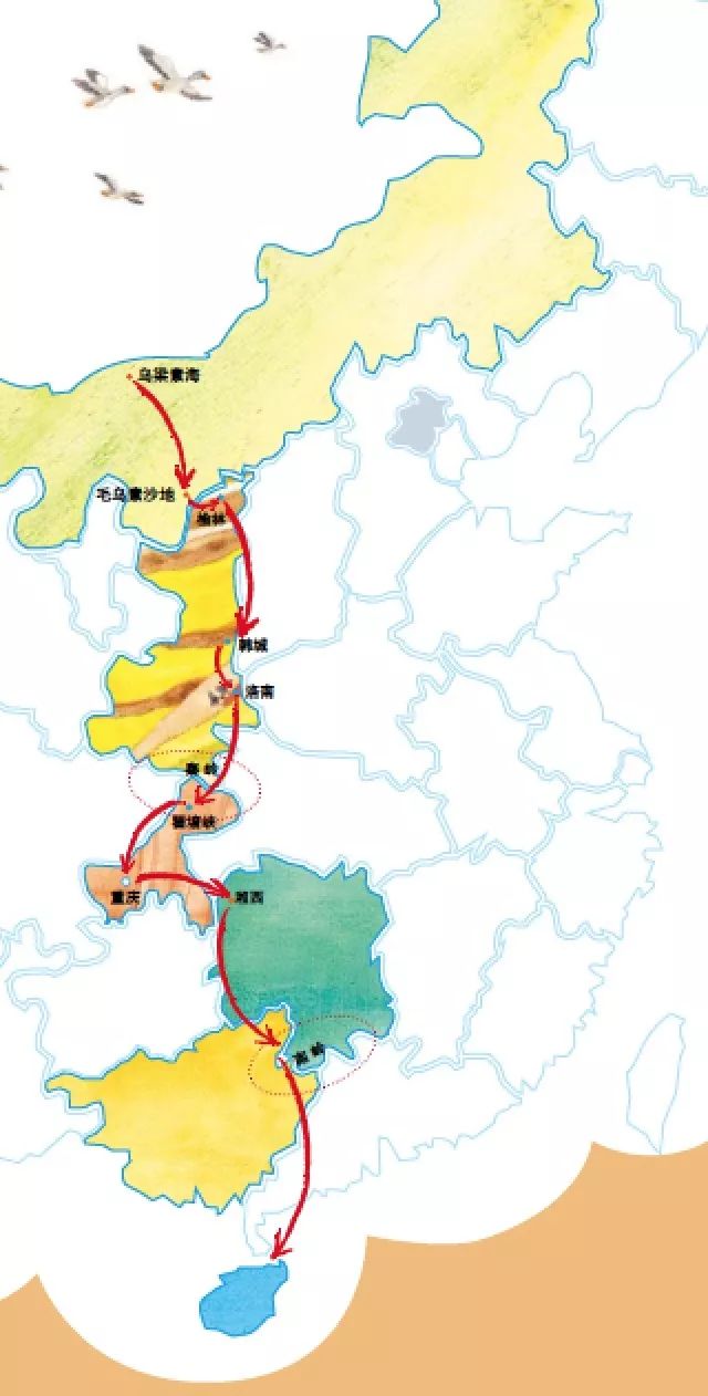 人口往南飞_大雁往南飞图片(2)