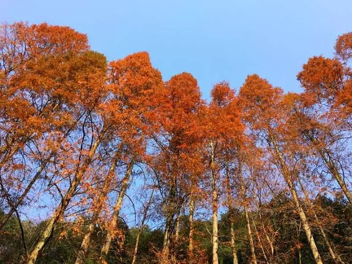 杭州最火的10条登山线路在这里…100%实拍美图!