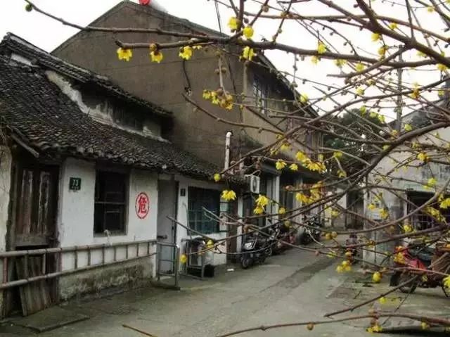 泗泾古镇的这条老街相比泖港老街就幸运得多了~2017年5月23日,泗泾