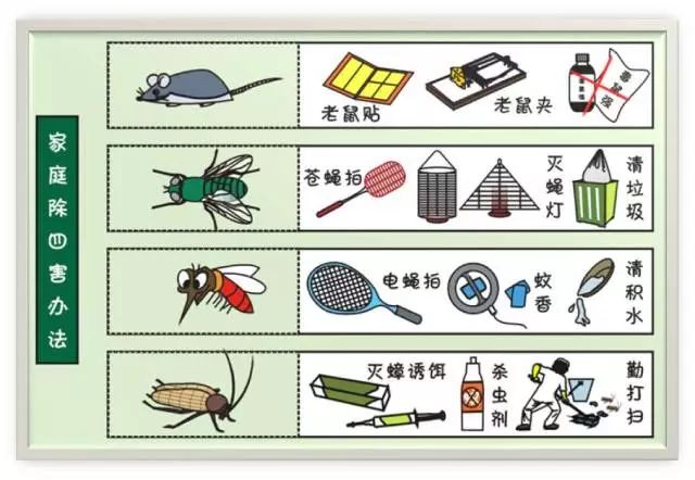 爱国卫生除四害 减少疾病重预防