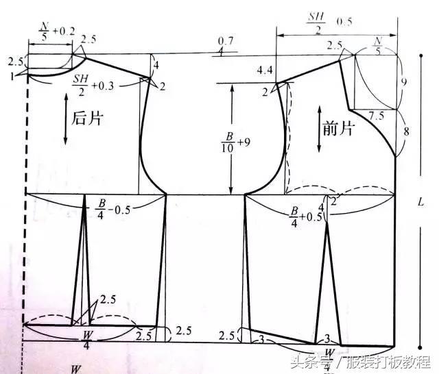 内衣打版纸样_西装外套打版纸样图片(2)