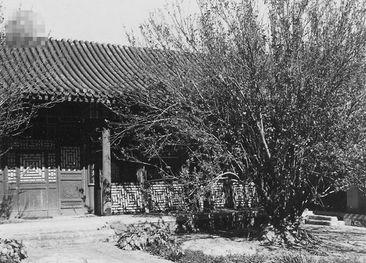 老照片,1959年后彭老总住所吴家花园