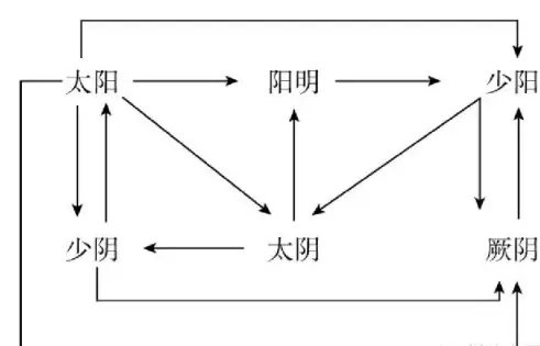 健康 正文  由表入里,由浅入深,由轻到重,由实转虚是六经传变的主体.