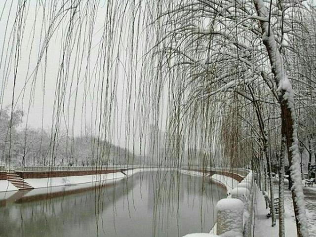 万点红芯梅傲骨,千丝垂柳钓寒塘