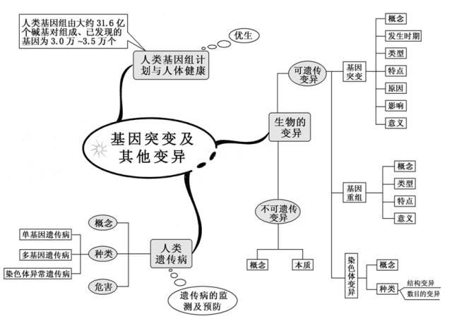 基因突变及其他变异