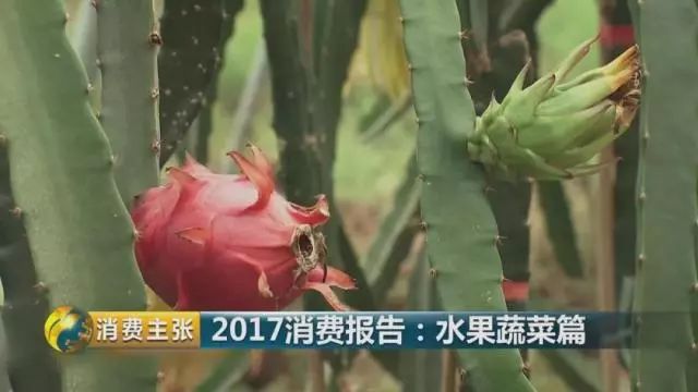 2017年全国最受欢迎、销量最高的水果是什么？(图4)