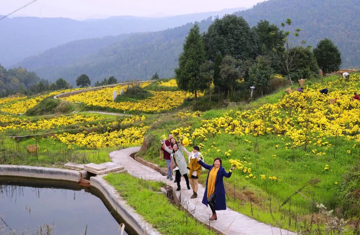 宁南县 披砂村,黑泥沟村,梓油村,中心村,立新村,碧窝村,茶岭村,子各村