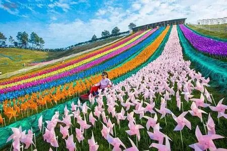 铜梁奇彩梦园4a景区·千亩花海 风车旅游节 免费乘坐热气球 免费体验