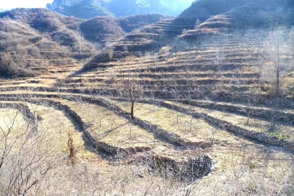 盂县人口有多少_盂县武本有(2)