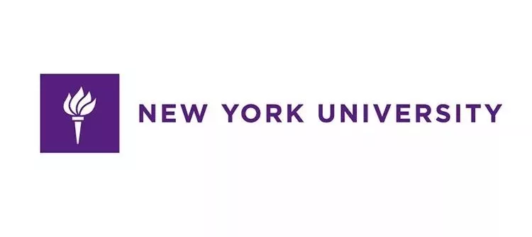 纽约大学 nyu