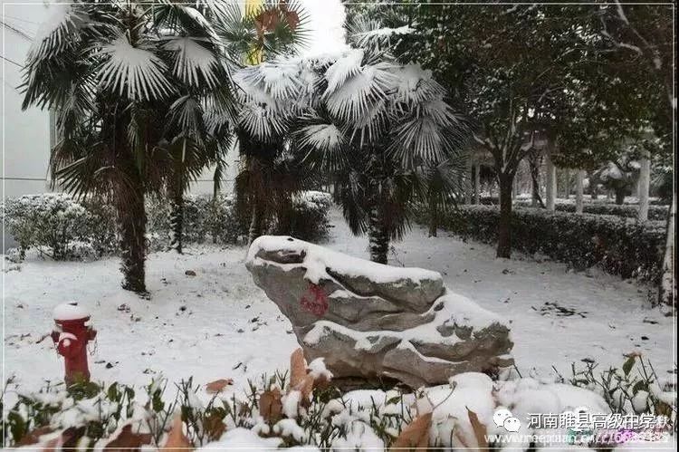 大美睢中2018年雪景