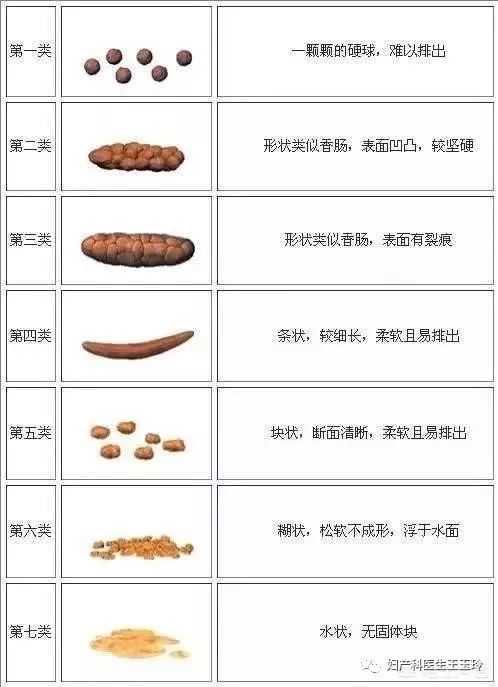 排便次数也因人而异,1-2天一次大便视为正常,但如果3天以上一次大便