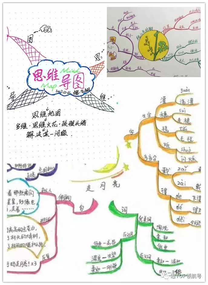 素养培训 | 志愿者学院掀起一股脑力风暴,一起来用思维导图"画出你的