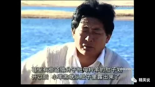 为了呼吁更多人关注藏羚羊,扎巴多杰四处游走演讲1998年,扎巴多杰在