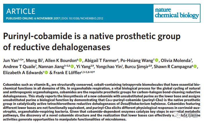 natchembiol钴胺素的天然合成及生物功能研究新进展