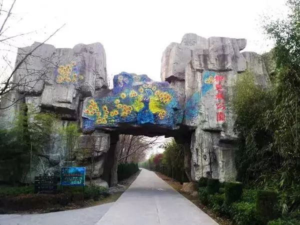 体验虎洞景区水上森林公园,露营基地,钓鱼体验区,百花寨,万亩生态茶园