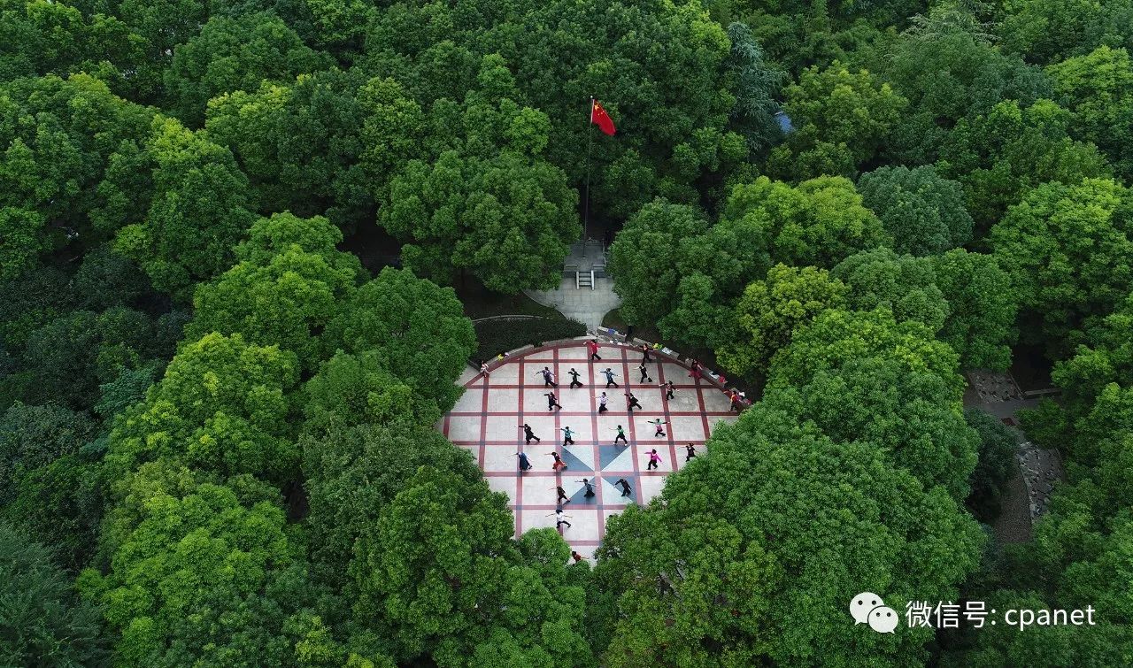 2017年10月10日,武汉市汉口后湖街心公园,市民在树林中跳扇子舞健身.