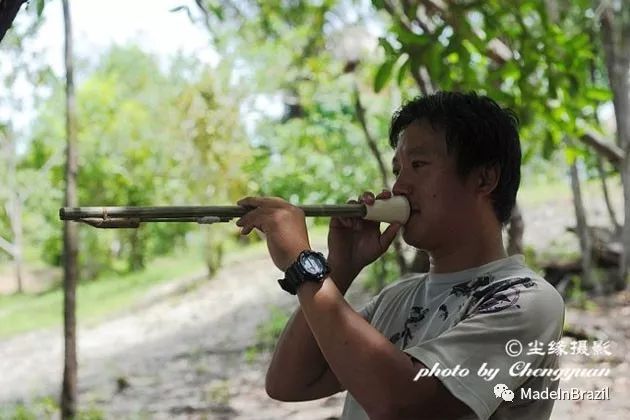 旅游 正文  (图注:正在制作吹箭的弗兰西斯科) 吹箭威力不小,体验时