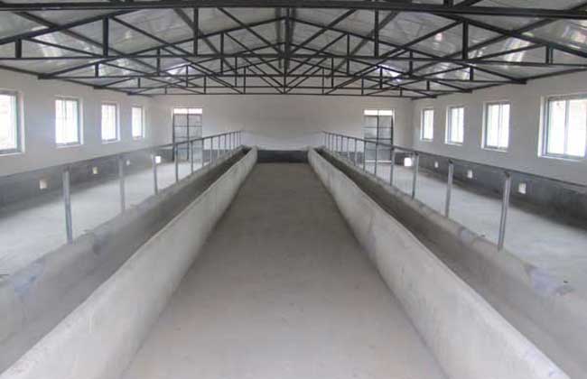 2,料棚建设用地:每100头牛需长30米,宽8米,高4.