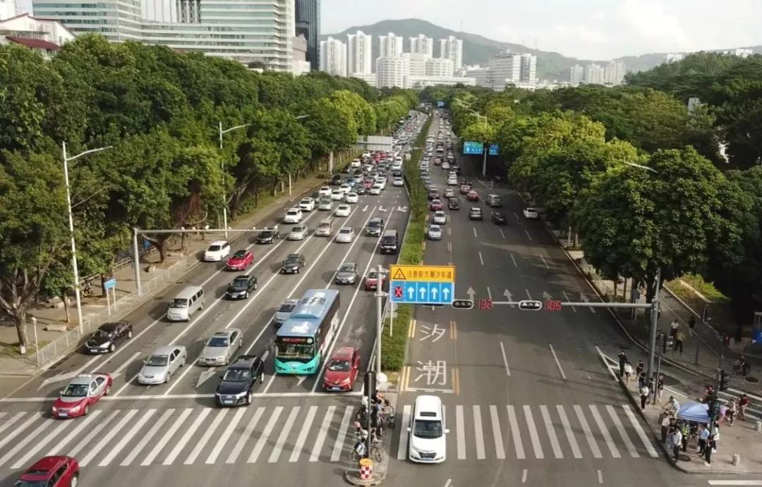 在靠近医院,企业单位且住宅区聚集的新洲路,早高峰"潮汐交通"现象显著