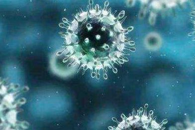 今年冬天,我国许多地区流感流行的优势病毒是乙型流感的yamagata系