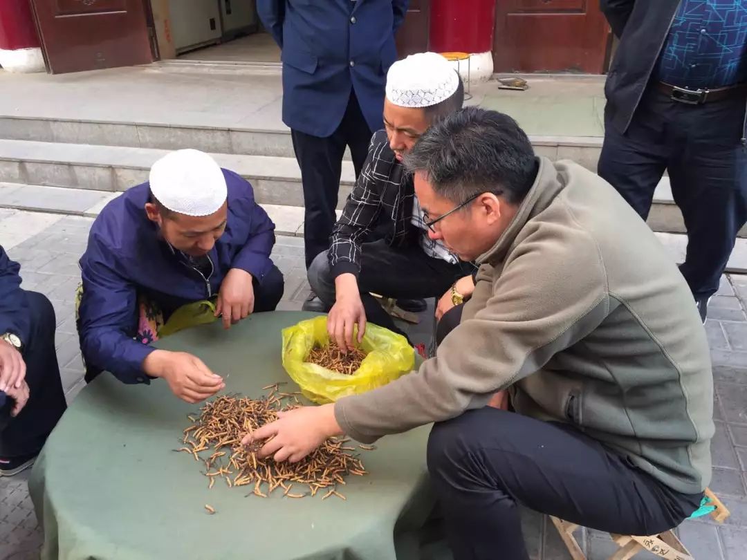 "人工种植冬虫夏草"已经量产,非专业人士区分不清,购买送人需谨慎!