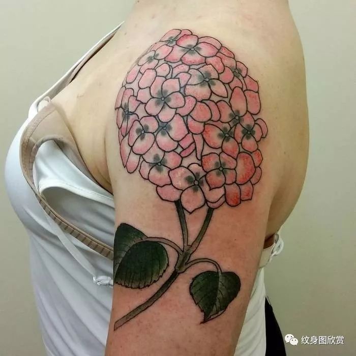 植物纹身 - 【绣球花】纹身图案