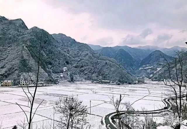 忽如一夜春风来,旬阳乡镇的雪景当真美得不像话!