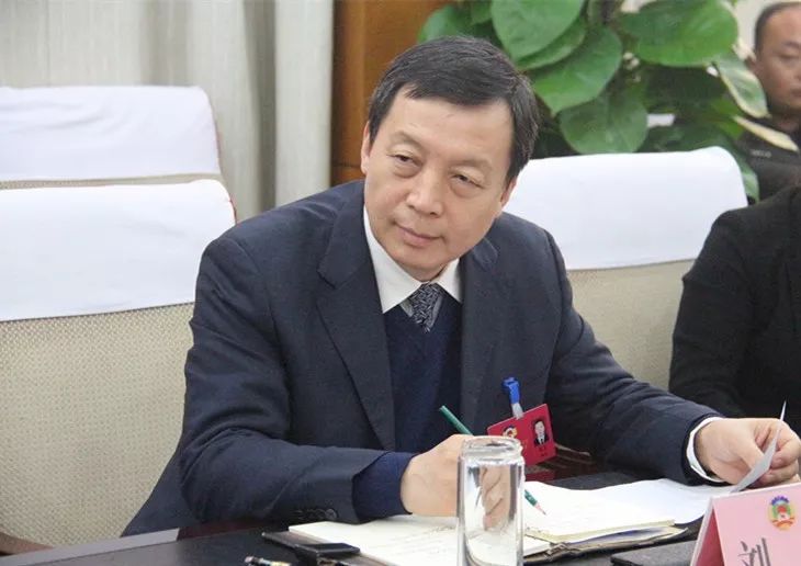 1月18日,县委副书记,县长刘玉在综合政法组讨论时强调,2017年是东平