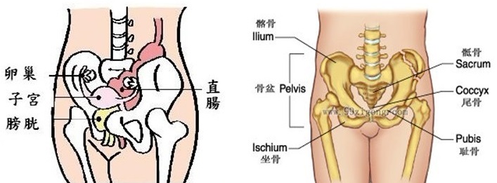 腰腿疼痛,坐骨神经痛,腰椎间盘突出,臀肌或腿部肌肉萎缩,脊椎侧弯