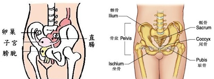 骨盆倾斜还会引起足根痛麻凉感,膀胱泌尿器官问题,尾骨痛,痛经,经期