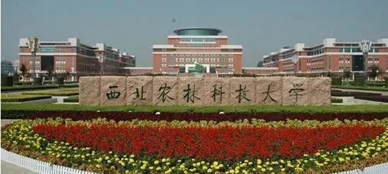 西北农林科技大学主要通过面试对考生思想品德,学科特长,创新