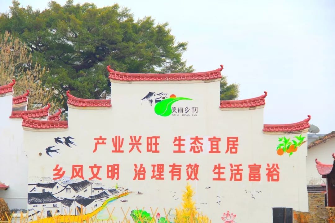 十九大报告提出"产业兴旺,生态宜居,乡风文明,治理有效,生活富裕","