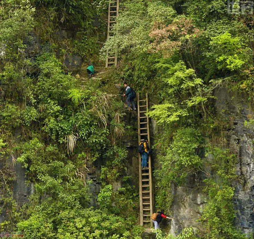 恐惧许多人因为害怕不敢尝试现在,溜索飞渡是怒江旅游的一个诱人项