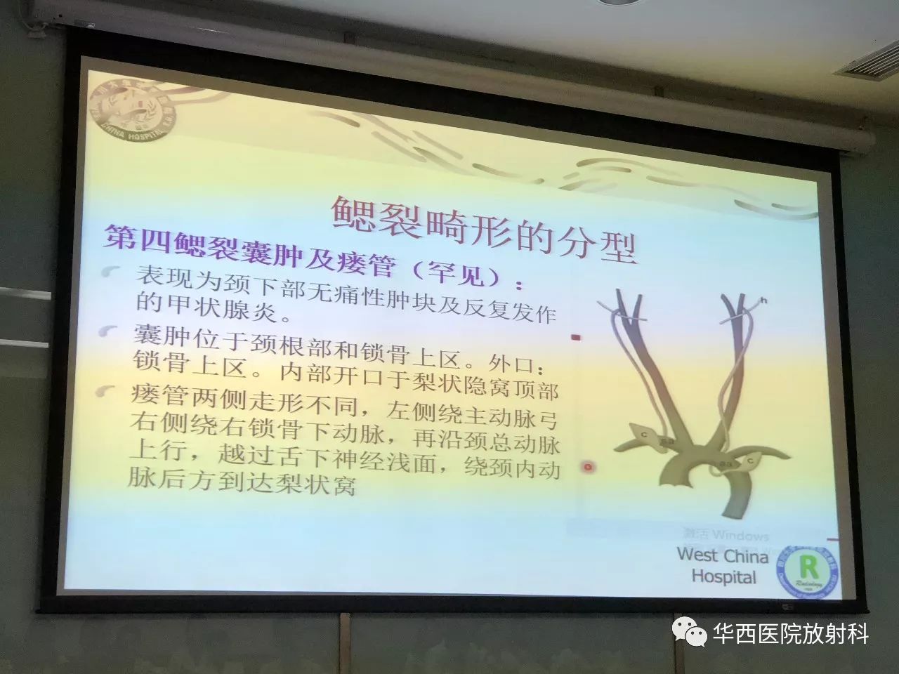 华西放射科深度业务学习系列之四十四——鳃裂畸形的诊断