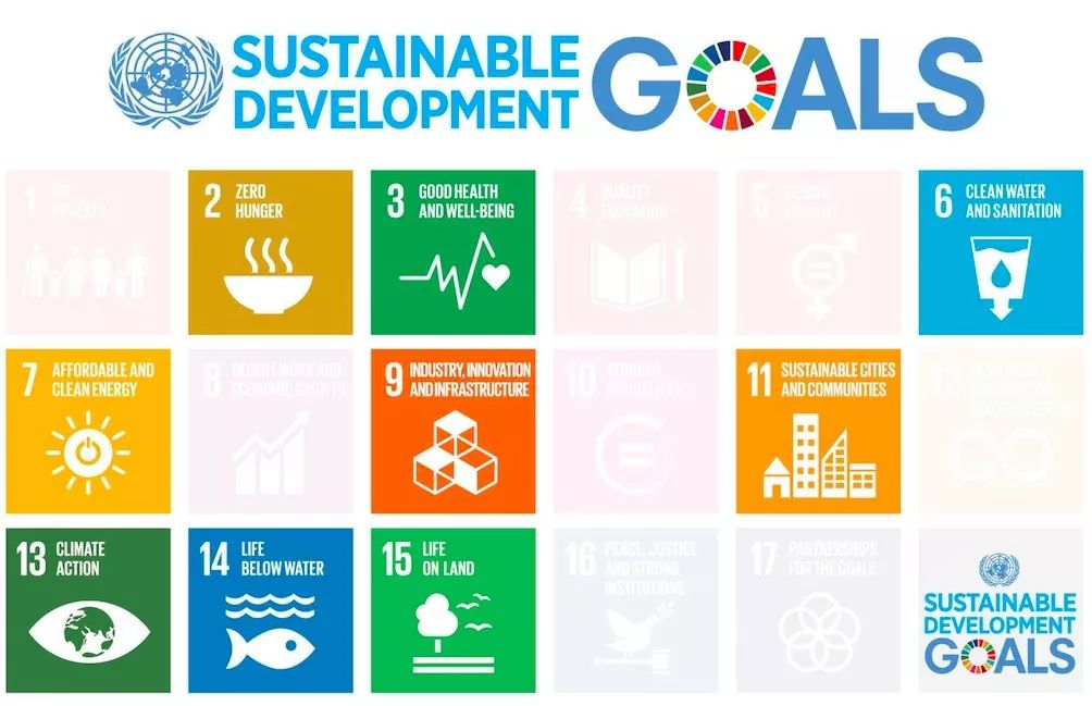 联合国可持续发展目标项目工作坊&分享会 united nations sdg work