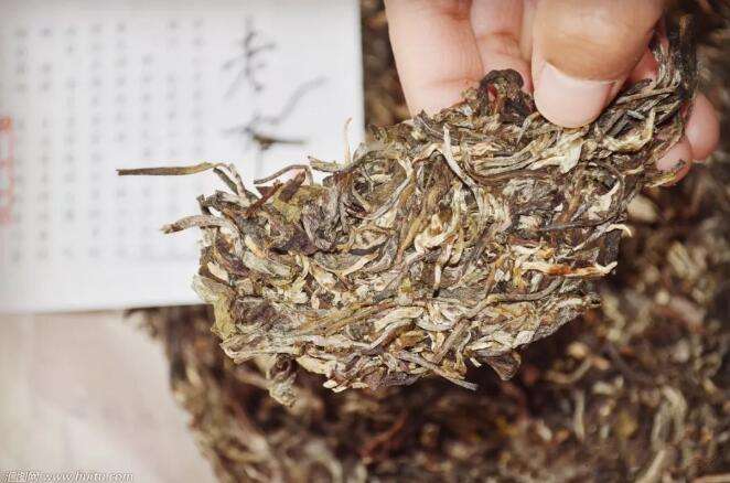 怎样判断普洱茶是不是霉变探寻白霜和发霉的区别