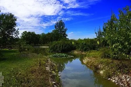 门票信息:免费 地址:平谷新城泃河,洳河两侧 大兴区 自驾线路:走南