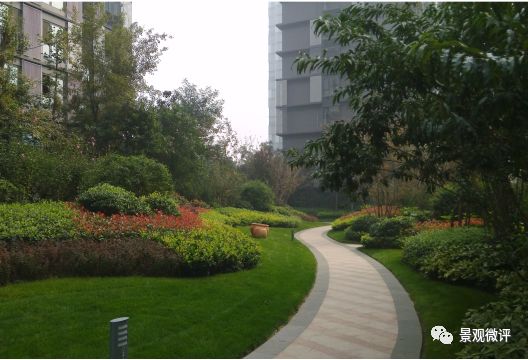 郑州居住区植物景观赏析