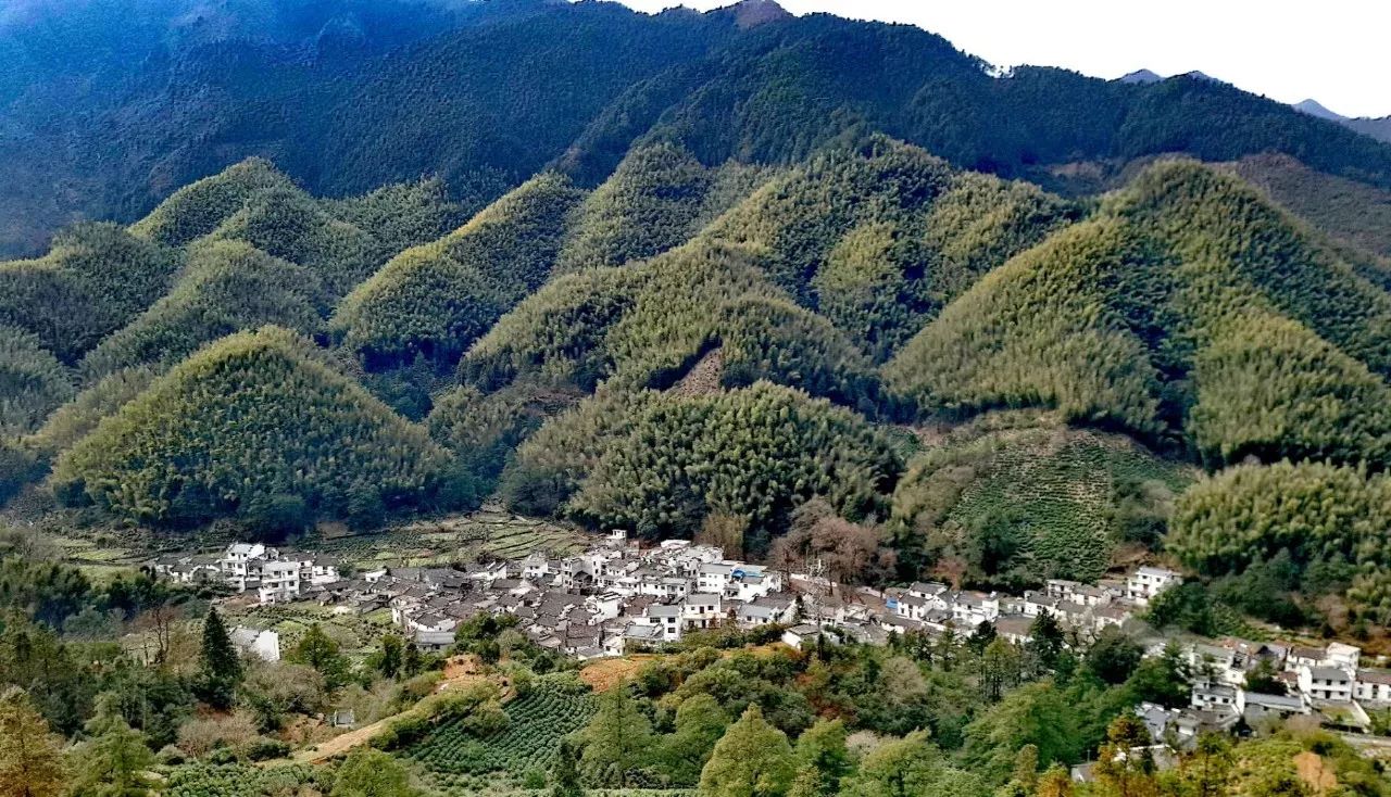 白居易在这首《琵琶行》中所说的"浮梁"即为江西浮梁县,古属饶州,现